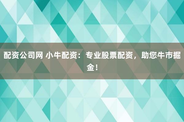 配资公司网 小牛配资：专业股票配资，助您牛市掘金！