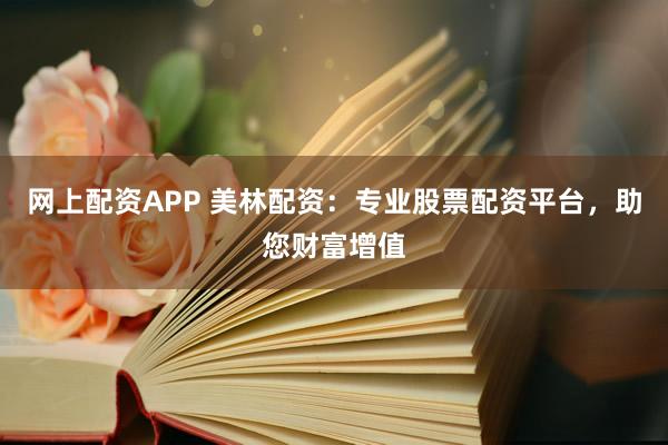 网上配资APP 美林配资：专业股票配资平台，助您财富增值